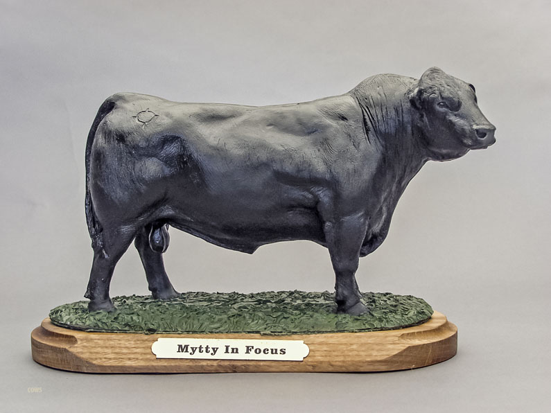 Angus bull , bull Figurine, livestock awards