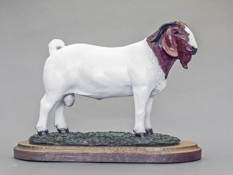 Boer Goat Figurine, livestock awards